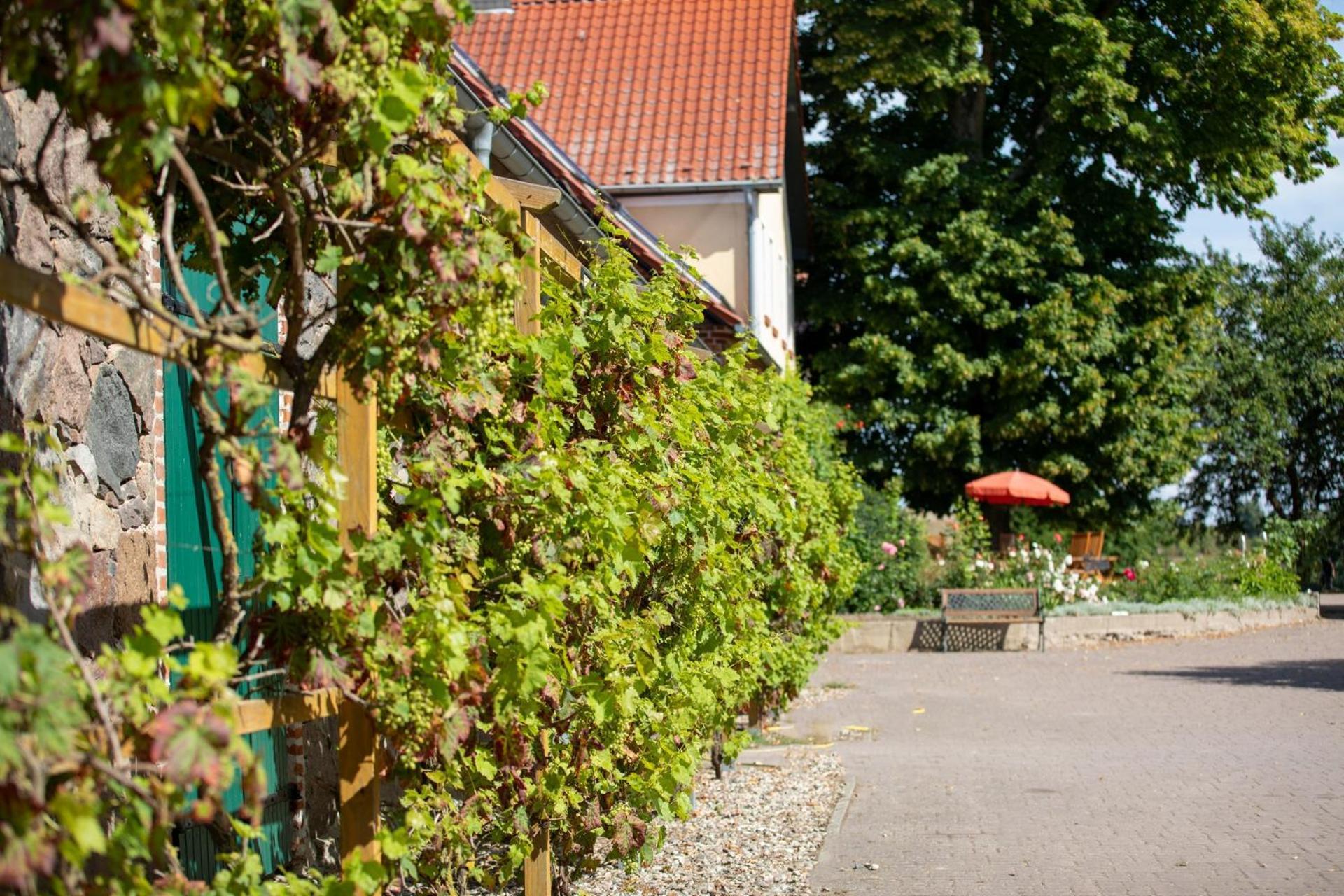FunkenhagenLandurlaub Auf Dem Mellenhof公寓 外观 照片